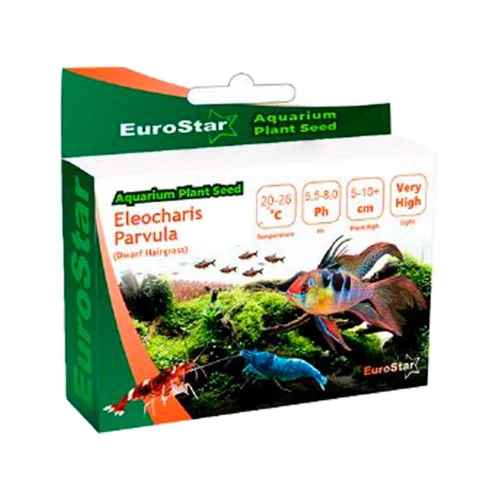 Eurostar Bitki Tohumu Eleocharis Parvula 8681144115038 Amazon Pet Center