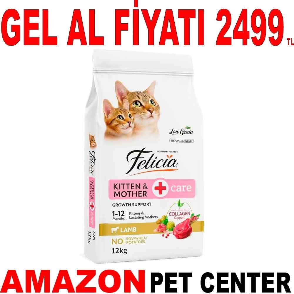 Felicia Düşük Tahıllı Kuzulu Yavru Kedi Maması 12 Kg Gel Al 18275001 Amazon Pet Center
