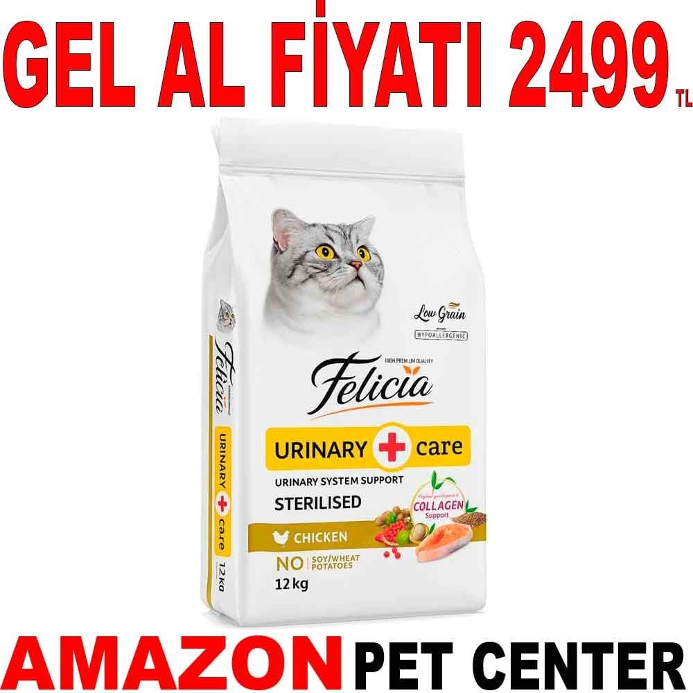 Felicia Düşük Tahıllı Tavuklu Kısır Kedi Maması 12 Kg Gel Al 18274004 Amazon Pet Center