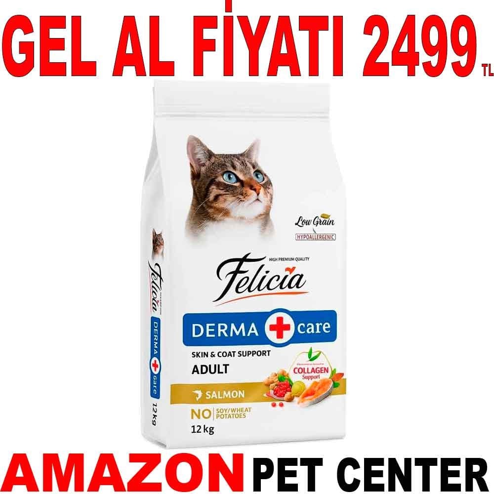Felicia Kedi Maması Az Tahıllı Somonlu 12 Kg Gel Al 18273007 Amazon Pet Center
