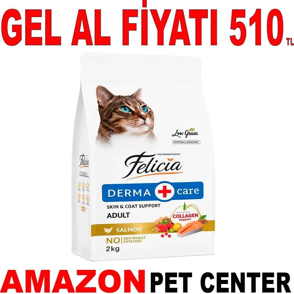 Felicia Kedi Maması Somonlu Az Tahıllı 2 Kg Gel Al 18258004 Amazon Pet Center