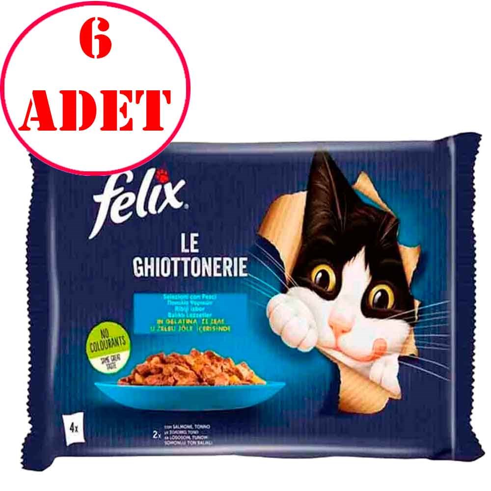 Felix Multipack Somonlu ve Ton Balıklı Yetişkin Kedi Yaş Maması 4x85 Gr 6 AD 35007197 Amazon Pet Center