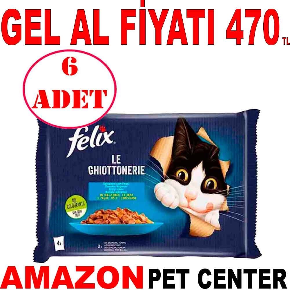 Felix Multipack Somonlu ve Ton Balıklı Yetişkin Kedi Yaş Maması 4x85 Gr 6 AD Gel Al 35007203 Amazon Pet Center