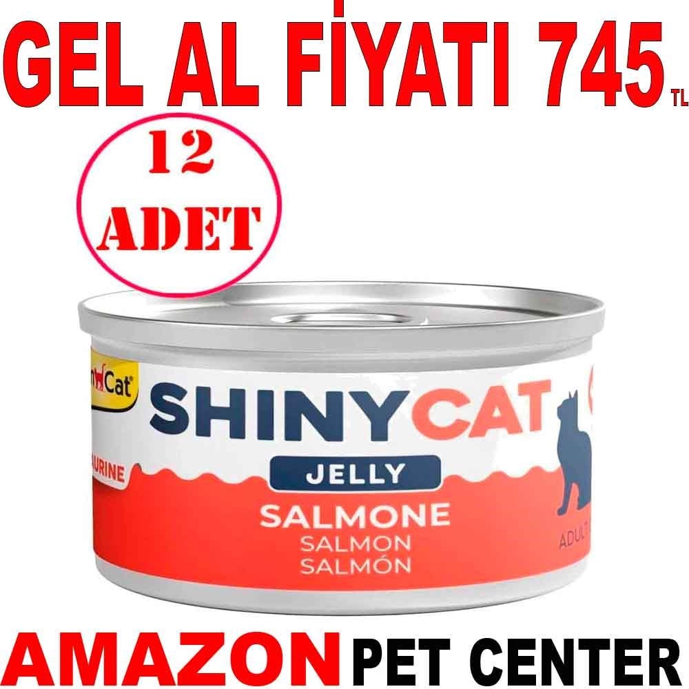 Gimcat Shinycat Kedi Konservesi Jöleli Somon Balıklı 70 Gr 12 AD Gel Al 22095008 Amazon Pet Center