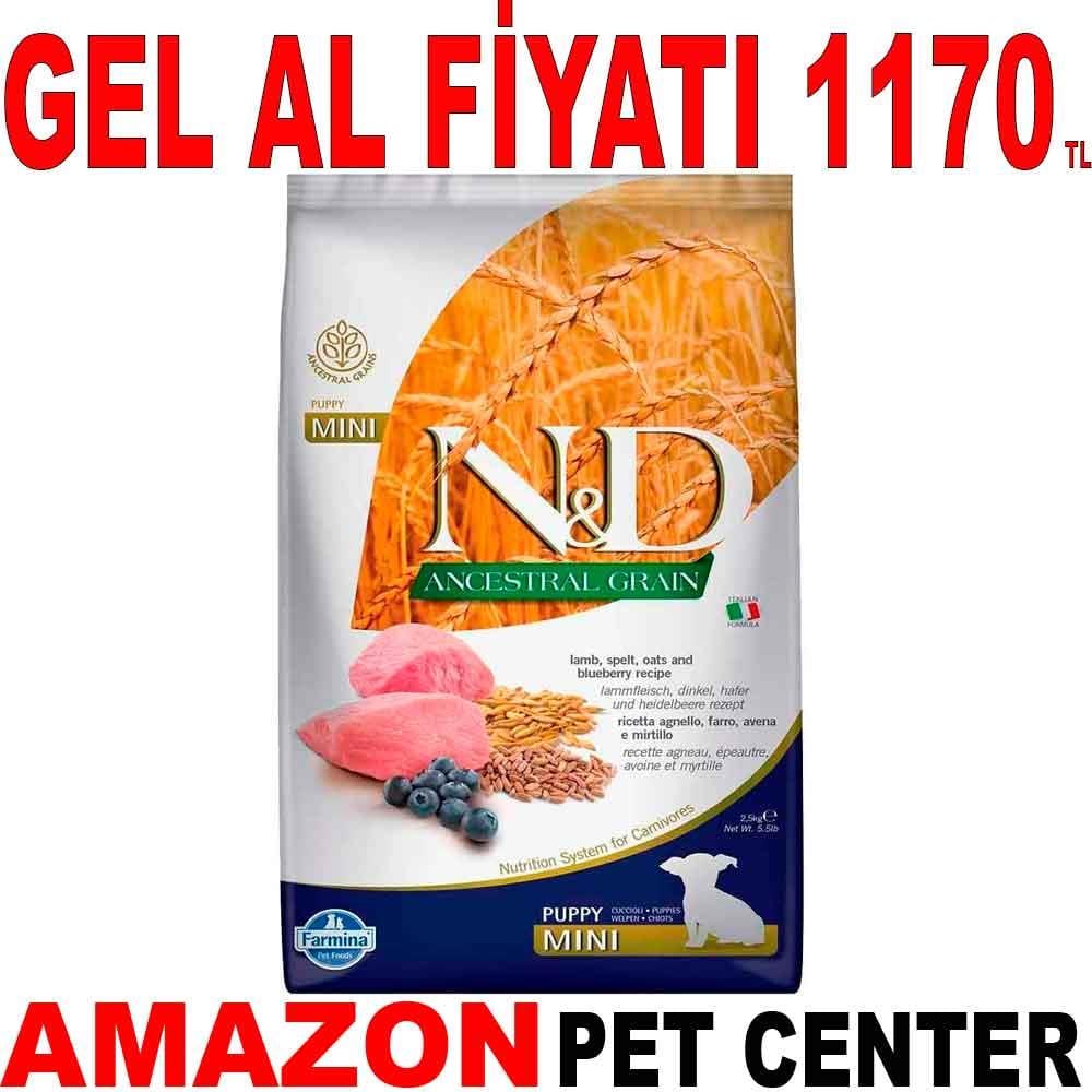 ND Az Tahıllı Kuzulu Yaban Mersinli Küçük Irk Yavru Köpek Maması 2.5 Kg Gel Al 18582000 Amazon Pet Center