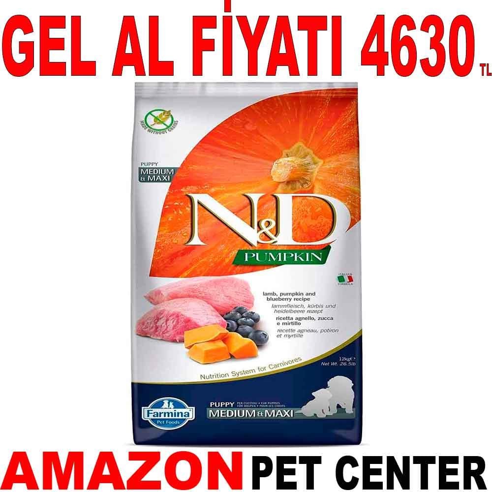 ND Balkabaklı Kuzu Etli Tahılsız Yavru Köpek Maması 12 Kg Gel Al 18650006 Amazon Pet Center