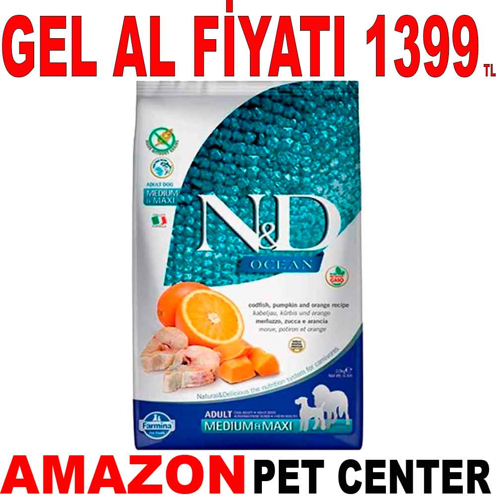 ND Balkabaklı Morina Balıklı Medium Maxi Tahılsız Köpek Maması 2.5 Kg Gel Al 18665000 Amazon Pet Center