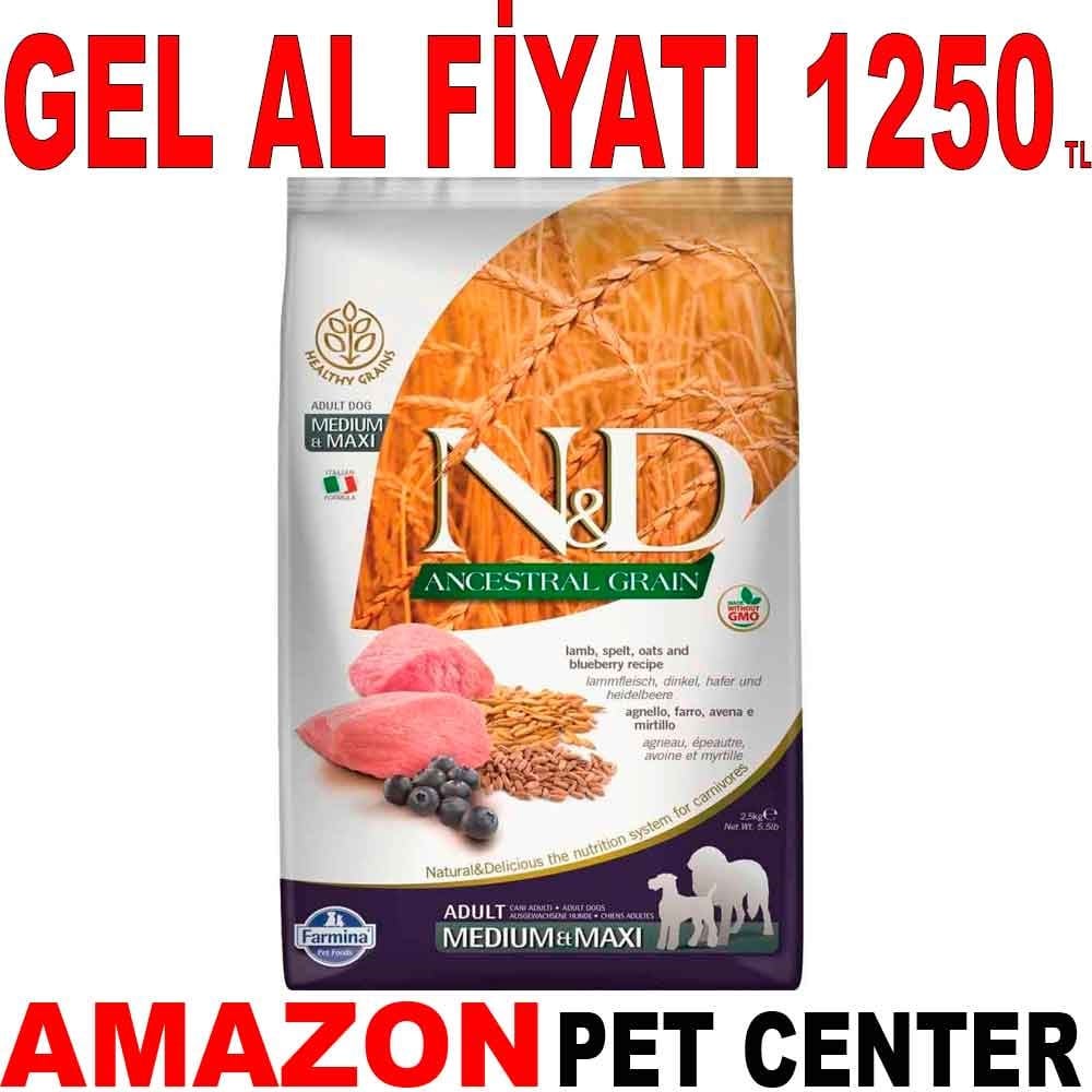 N&D Düşük Tahıllı Kuzu Etli Yaban Mersinli Medium Maxi Yetişkin Köpek Maması 2.5 Kg Gel Al 18583007 Amazon Pet Center