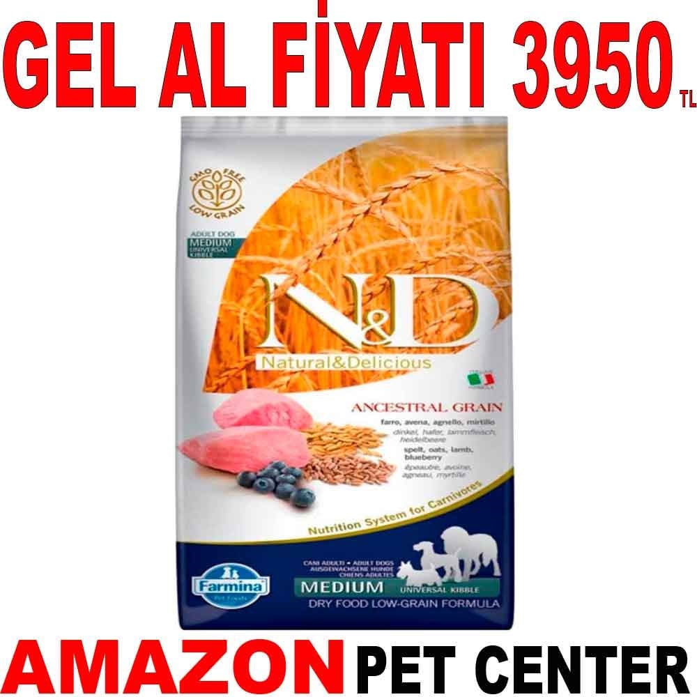 ND Düşük Tahıllı Kuzu Etli Yaban Mersinli Köpek Maması 12 Kg Gel Al 18753004 Amazon Pet Center