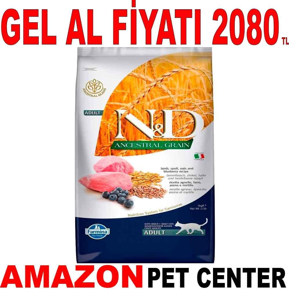 ND Düşük Tahıllı Kuzu Etli Yaban Mersinli Yetişkin Kedi Maması 5 Kg Gel Al 18663006 Amazon Pet Center