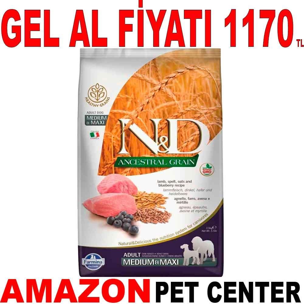 N&D Düşük Tahıllı Kuzu Etli Yaban Mersinli Medium Maxi Yetişkin Köpek Maması 2.5 Kg Gel Al 18583007 Amazon Pet Center