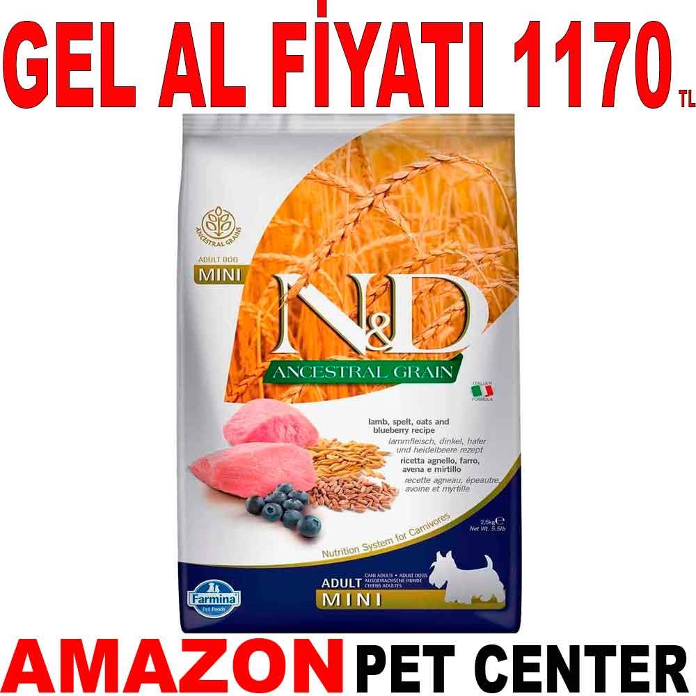 ND Düşük Tahıllı Kuzu Etli Yaban Mersinli Küçük Irk Yetişkin Köpek Maması 2.5 Kg Gel Al 18804003 Amazon Pet Center