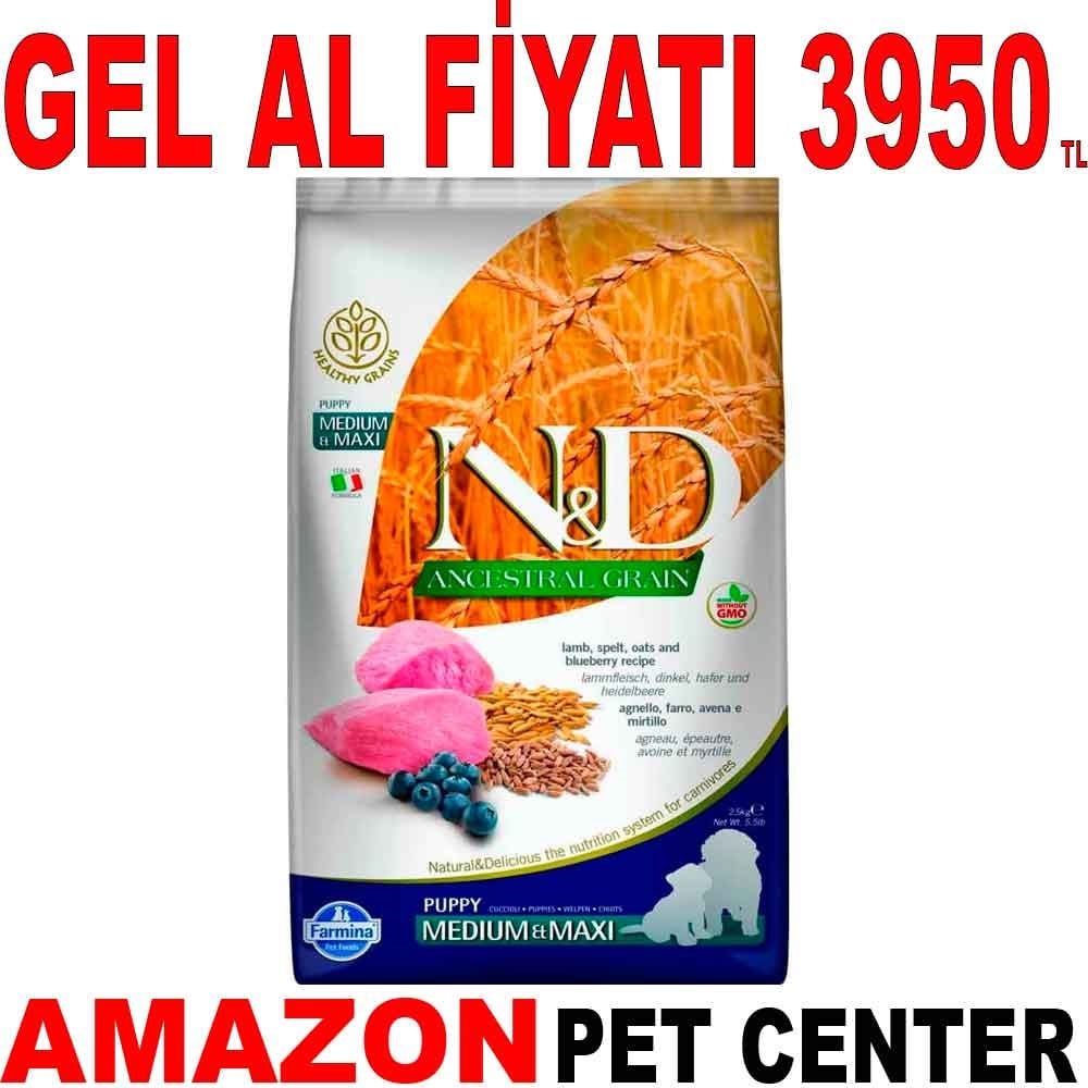 ND Düşük Tahıllı Kuzu Etli Yavru Köpek Maması 12 Kg Gel Al 18645002 Amazon Pet Center