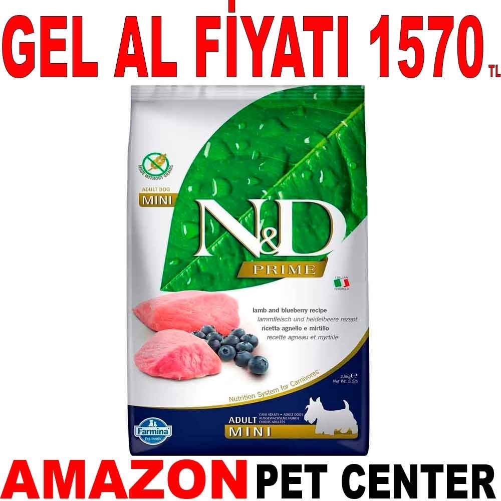N&D Kuzu Etli Yaban Mersinli Tahılsız Küçük Irk Yetişkin Köpek Maması 2,5 Kg Gel Al 18779004 Amazon Pet Center