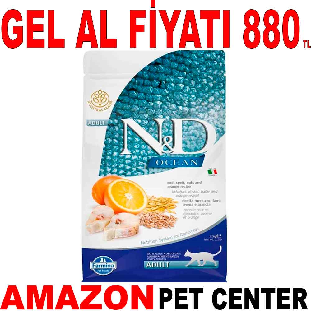 ND Ocean Kedi Maması Morina Balıklı ve Portakallı Düşük Tahıllı 1,5 Kg Gel Al 18572001 Amazon Pet Center