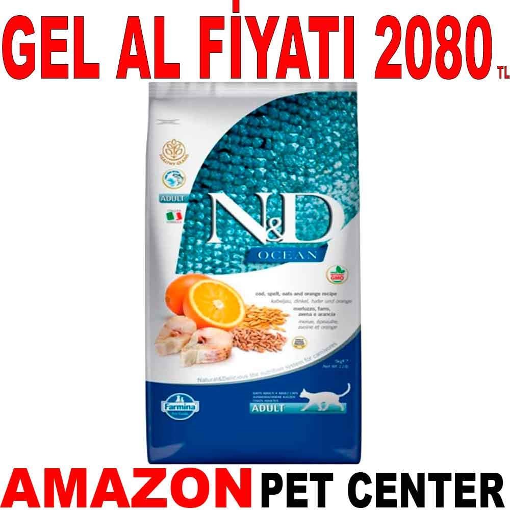 ND Ocean Kedi Maması Morina Balıklı ve Portakallı Düşük Tahıllı 5 Kg Gel Al 18624007 Amazon Pet Center