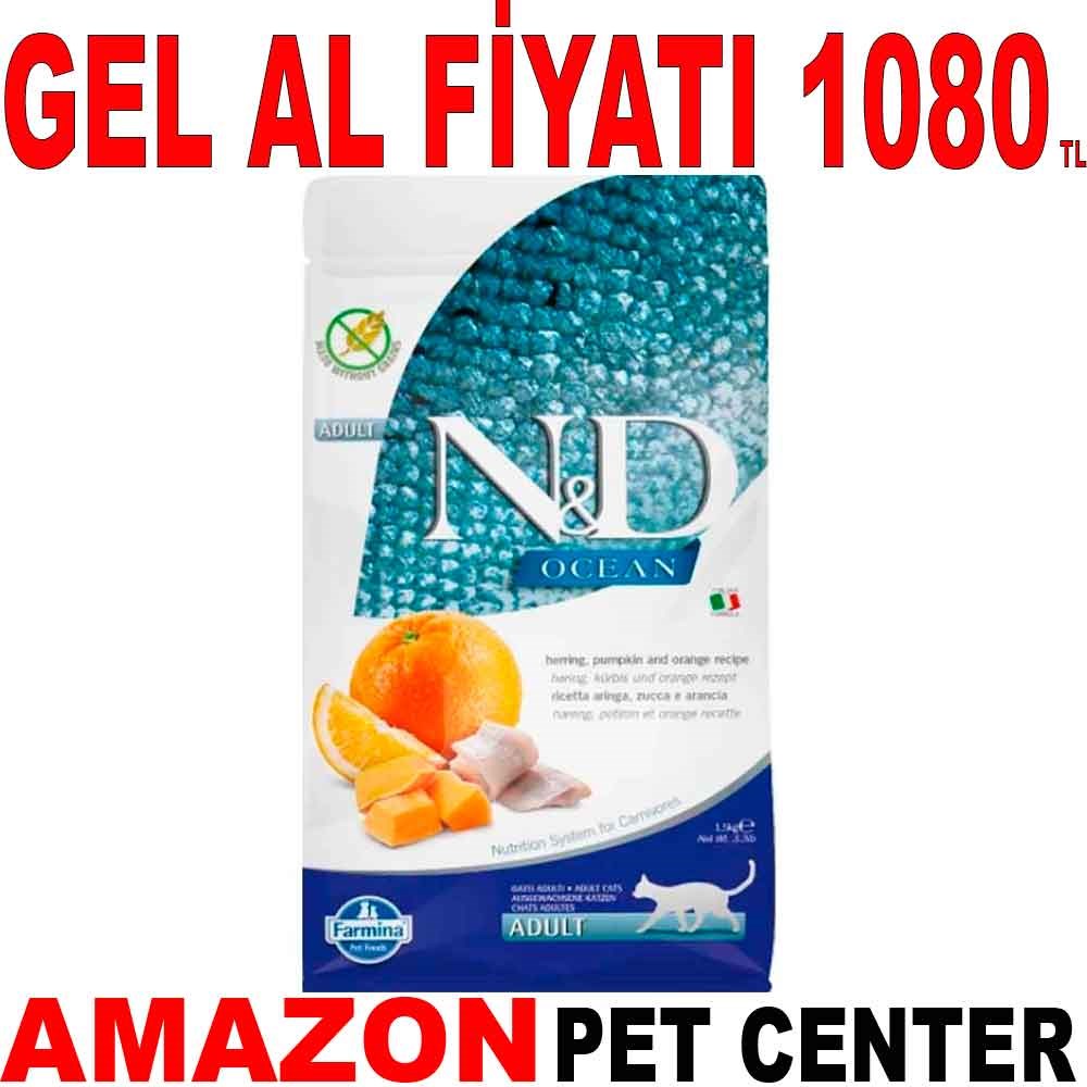ND Ocean Kedi Maması Tahılsız Ringa Balıklı Ve Balkabaklı 1.5 Kg Gel Al 18573008 Amazon Pet Center