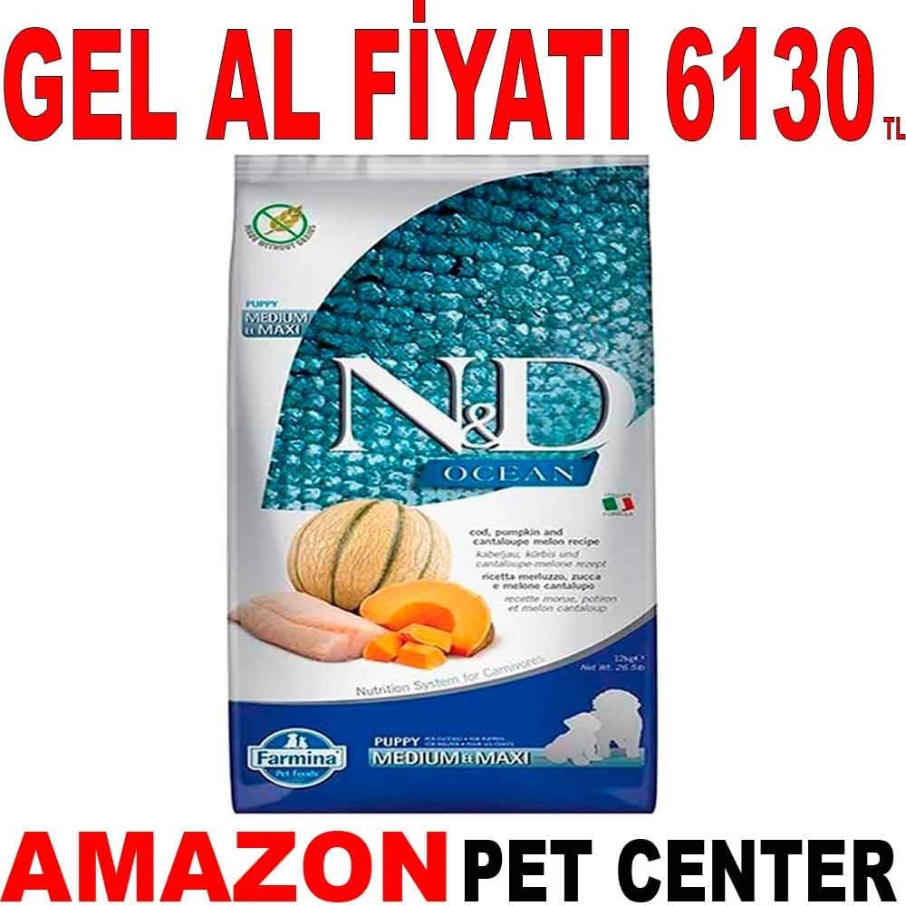 N&D Ocean Morina Balıklı, Bal Kabaklı ve Kavunlu Orta ve Büyük Irk Tahılsız Yavru Köpek Maması 12 Kg Gel Al 18660005 Amazon Pet Center