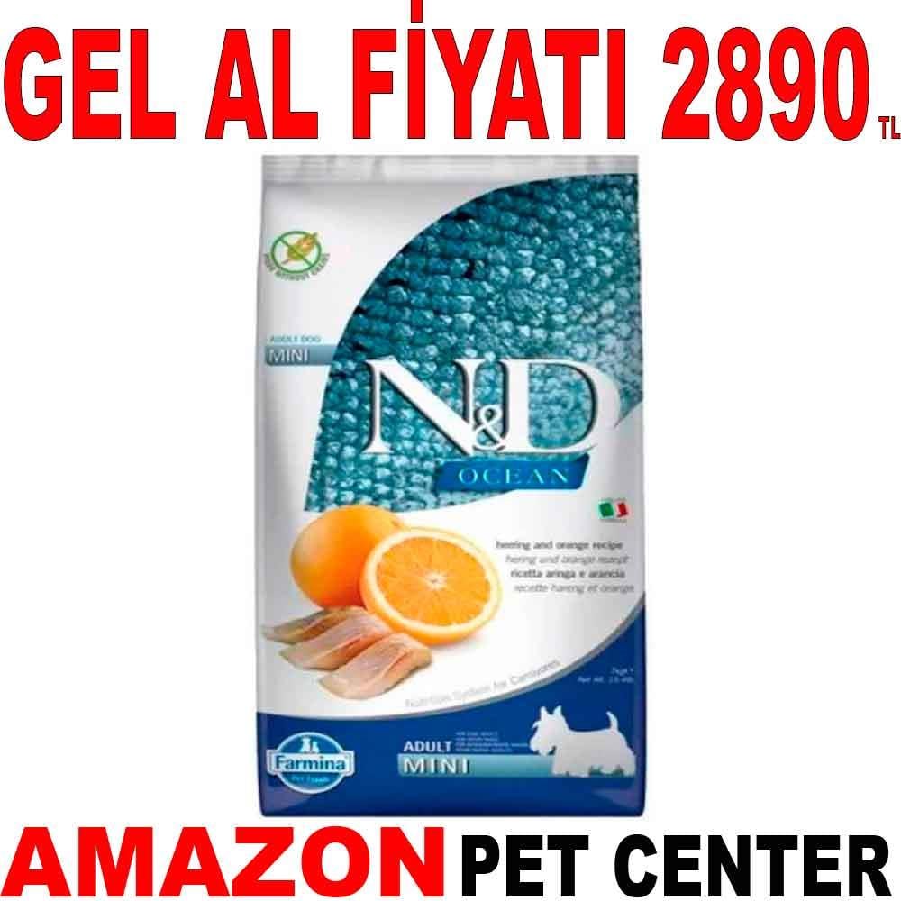 ND Ocean Ringa Balıklı ve Portakallı Tahılsız Küçük Irk Yetişkin Köpek Maması 7 Kg Gel Al 18625004 Amazon Pet Center