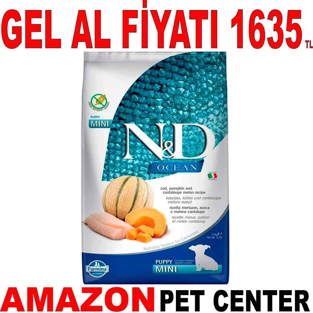 ND Ocean Yavru Köpek Maması Morina Balıklı Bal Kabaklı ve Kavunlu Küçük Irk Tahılsız 2.5 Kg Gel Al 18612004 Amazon Pet Center