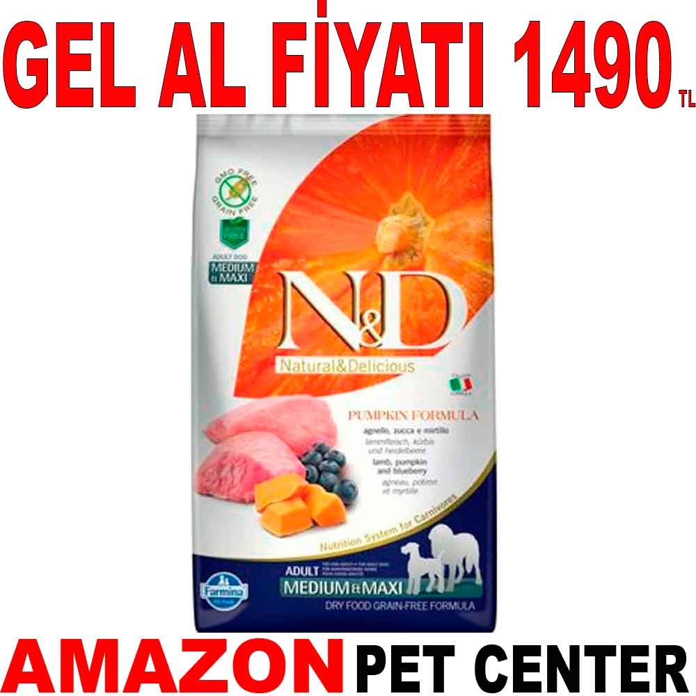 N&D Tahılsız Köpek Maması Balkabaklı Kuzu Etli Medium Maxi 2,5 Kg Gel Al 18785005 Amazon Pet Center