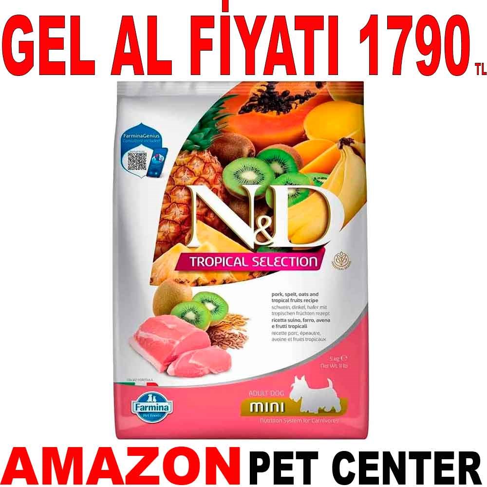 N&D Tropical Meyveli Mini Irk Köpek Maması Domuz Etli 5 Kg Gel Al 19223001 Amazon Pet Center