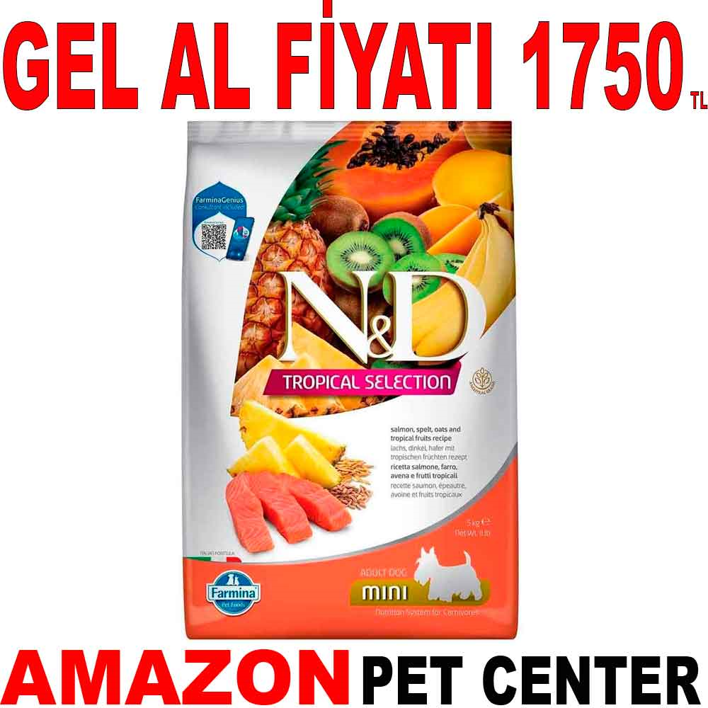 N&D Tropical Meyveli Mini Irk Köpek Maması Somonlu 5 Kg Gel Al 19221007 Amazon Pet Center