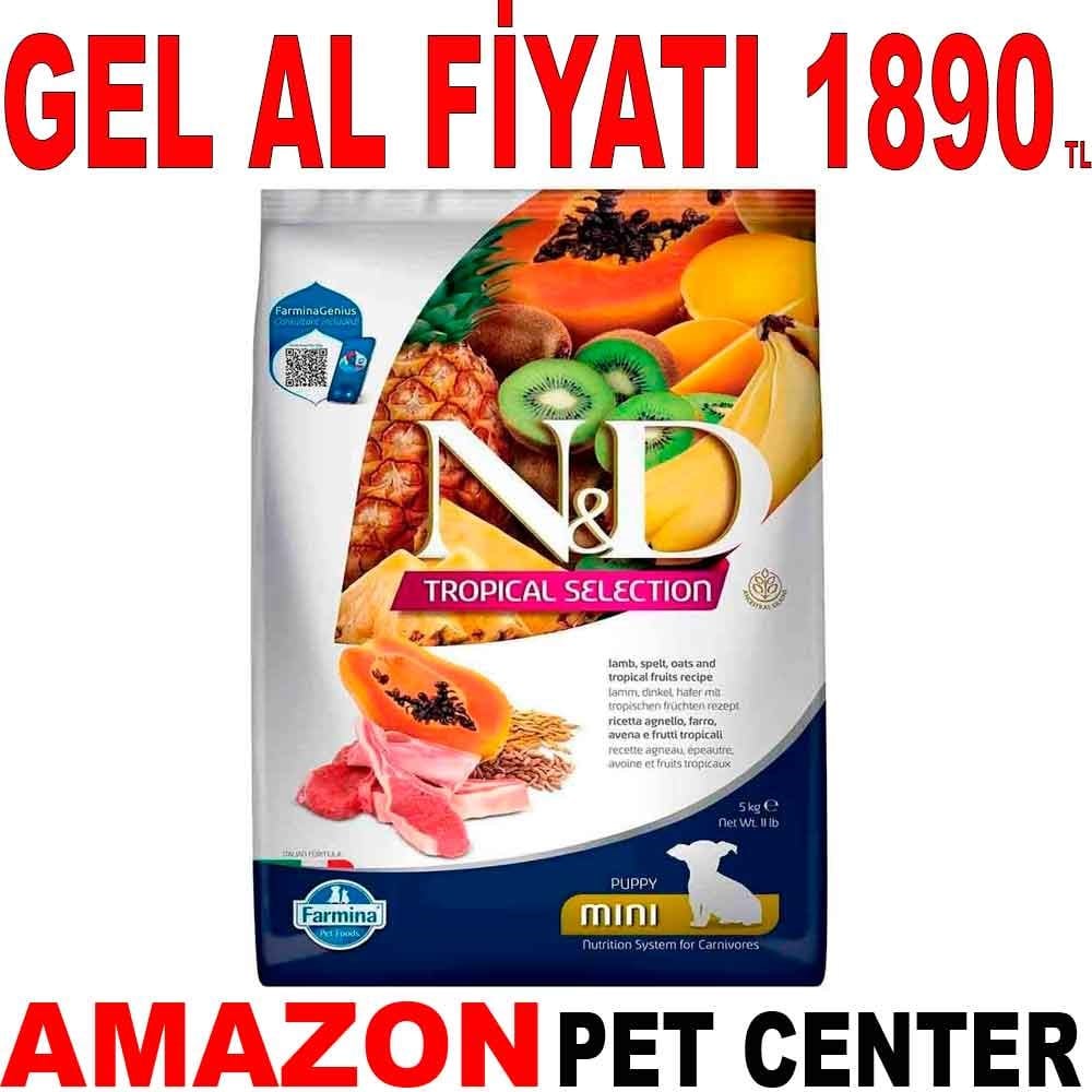 N&D Tropical Meyveli Mini Irk Yavru Köpek Maması Kuzu Etli 5 Kg Gel Al 19225005 Amazon Pet Center