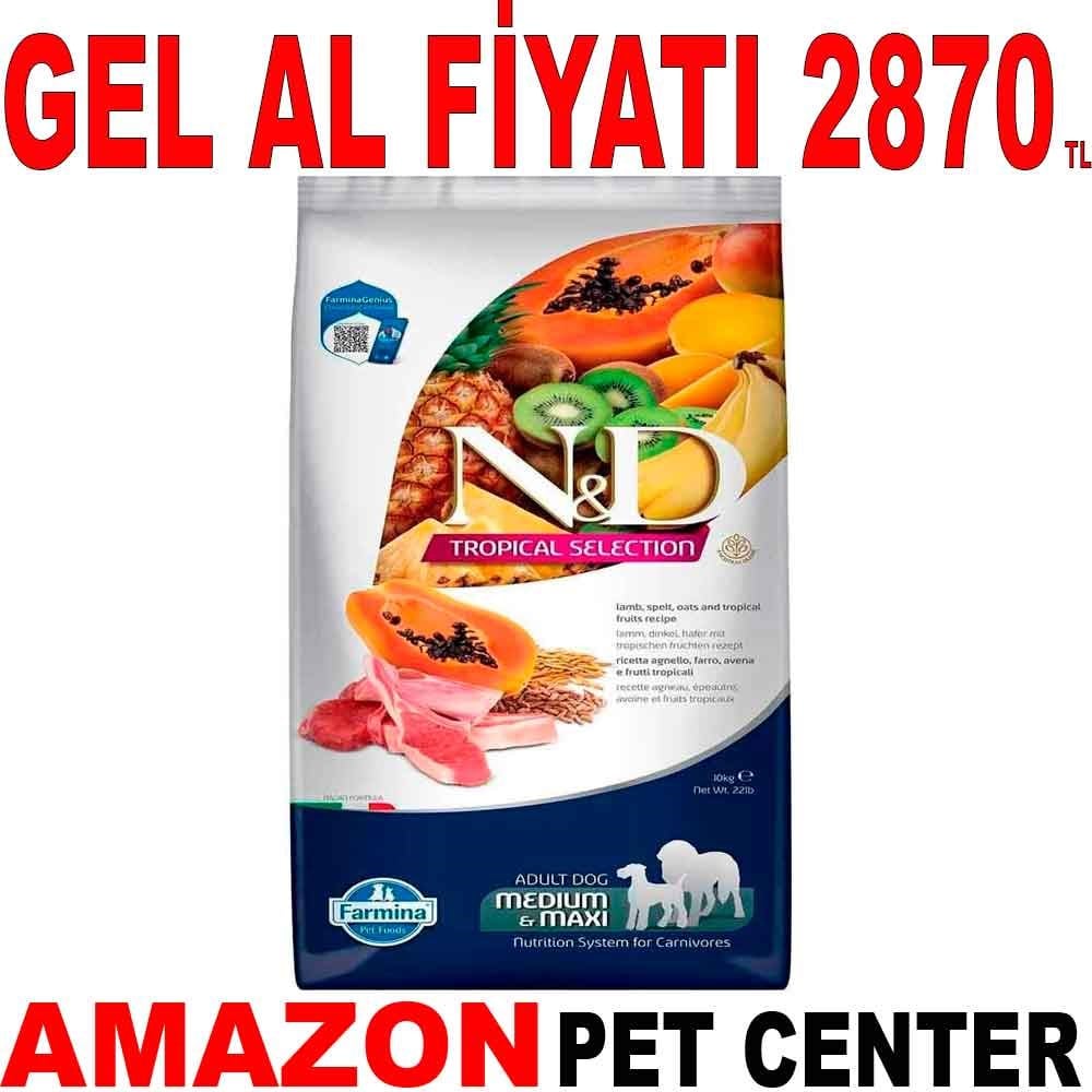 N&D Tropical Meyveli Orta ve Büyük Irk Köpek Maması Kuzu Etli 10 Kg Gel Al 19255002 Amazon Pet Center