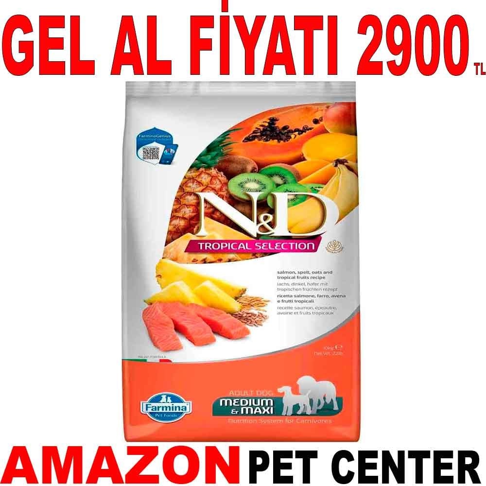 ND Tropical Meyveli Orta ve Büyük Irk Köpek Maması Somonlu 10 Kg Gel Al 19245003 Amazon Pet Center