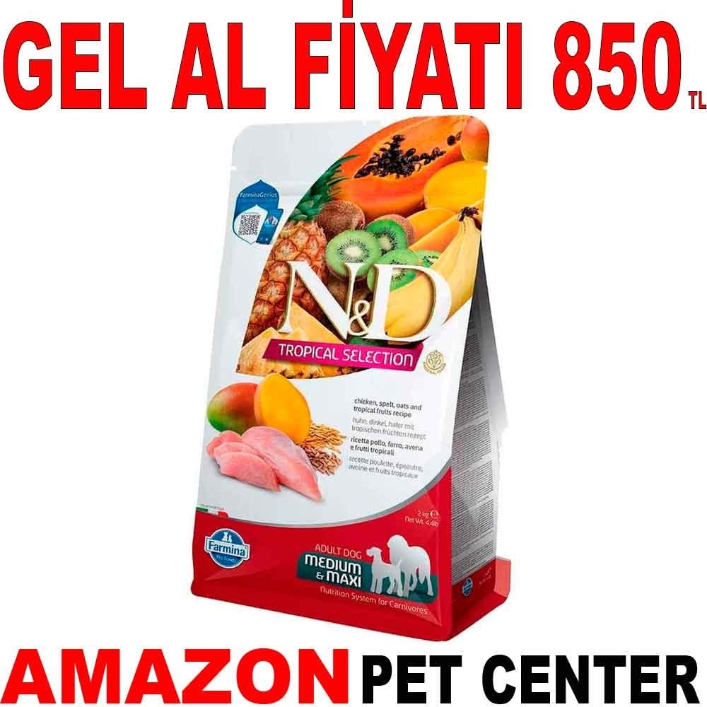 ND Tropical Meyveli Tavuklu Orta ve Büyük Irk Köpek Maması 2 Kg Gel Al 19455006 Amazon Pet Center