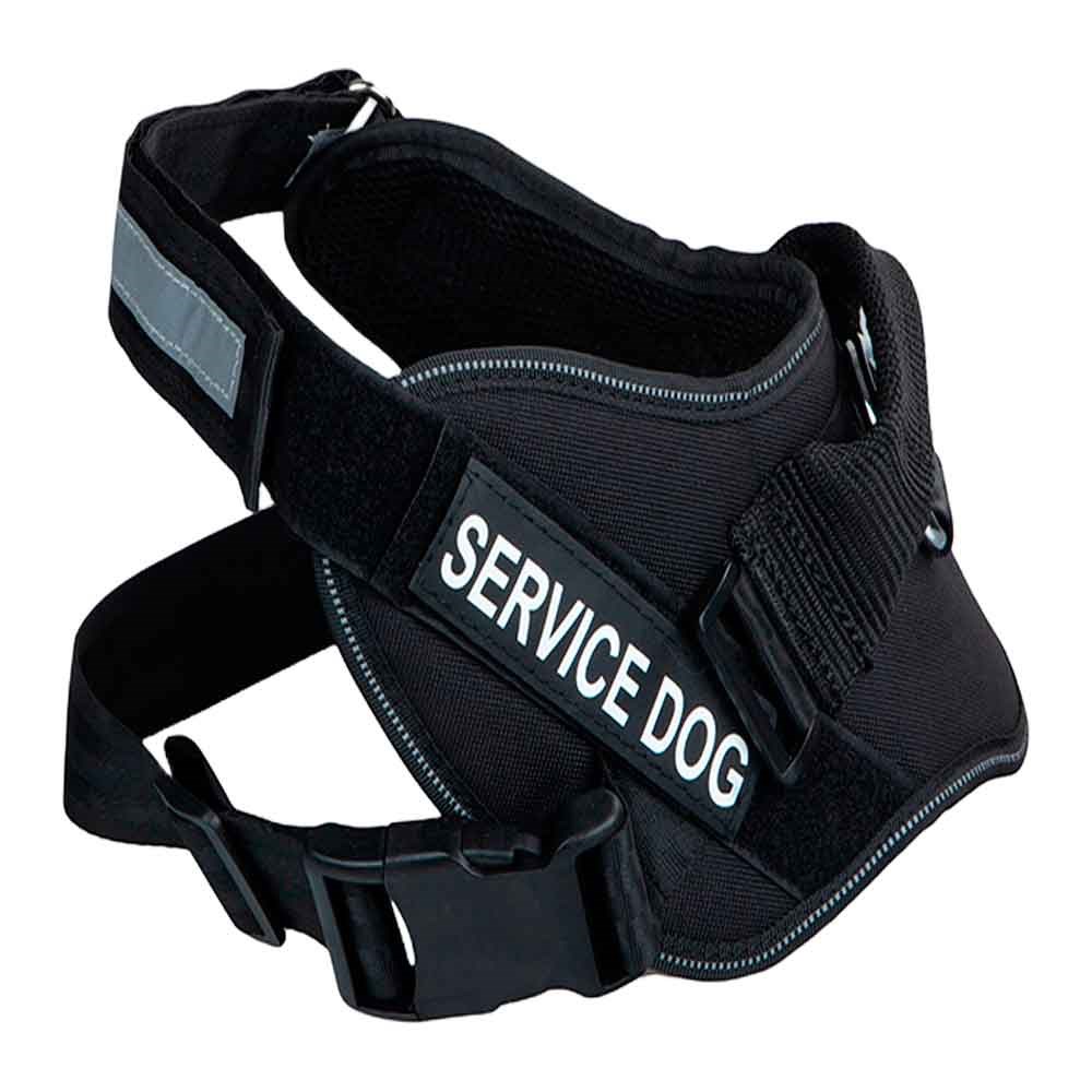 Orijin Pet Köpekler İçin Beden Tasması S 70-95 Cm 8699004265618 Amazon Pet Center