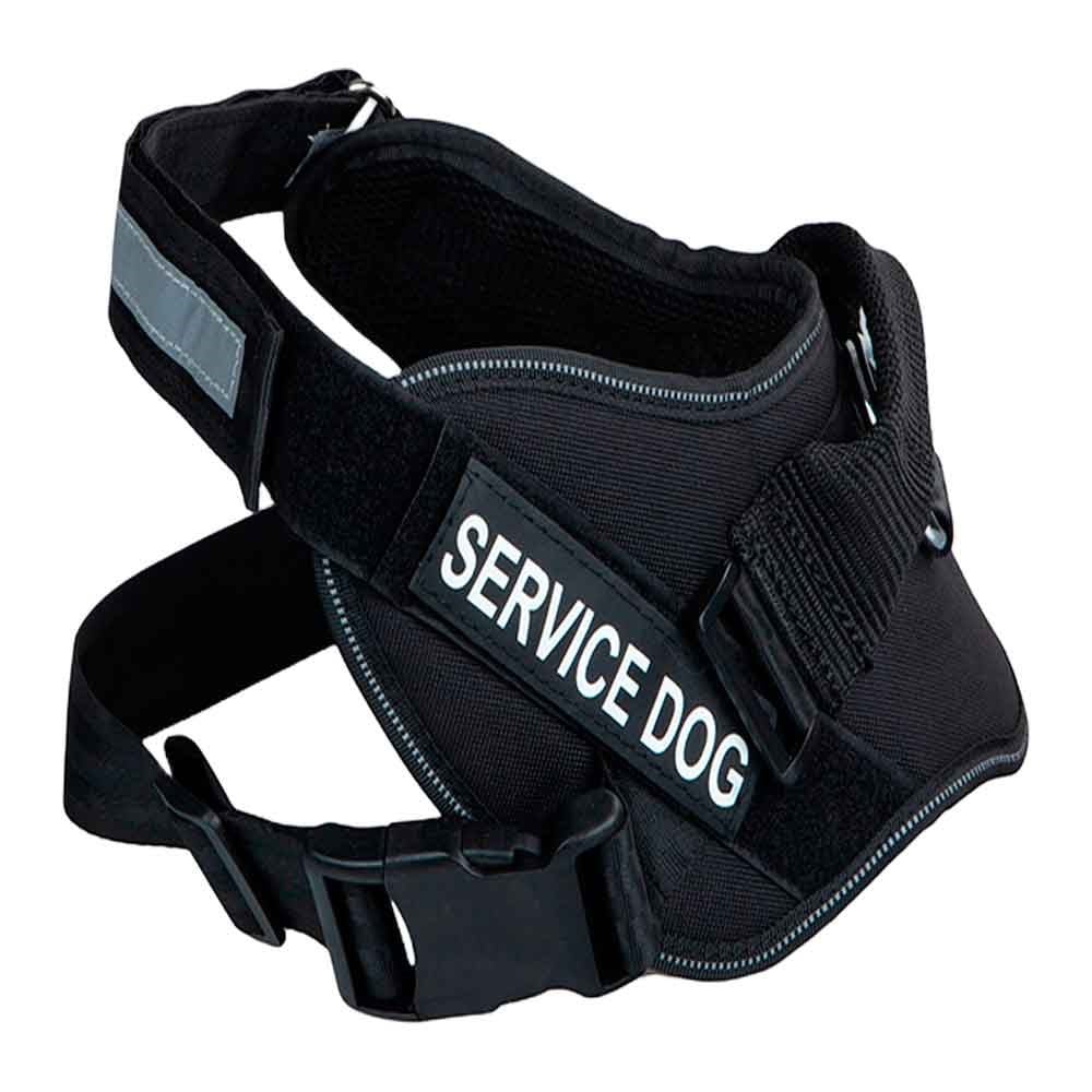 Orijin Pet Köpekler İçin Beden Tasması M 80-115 Cm 8699004265625 Amazon Pet Center