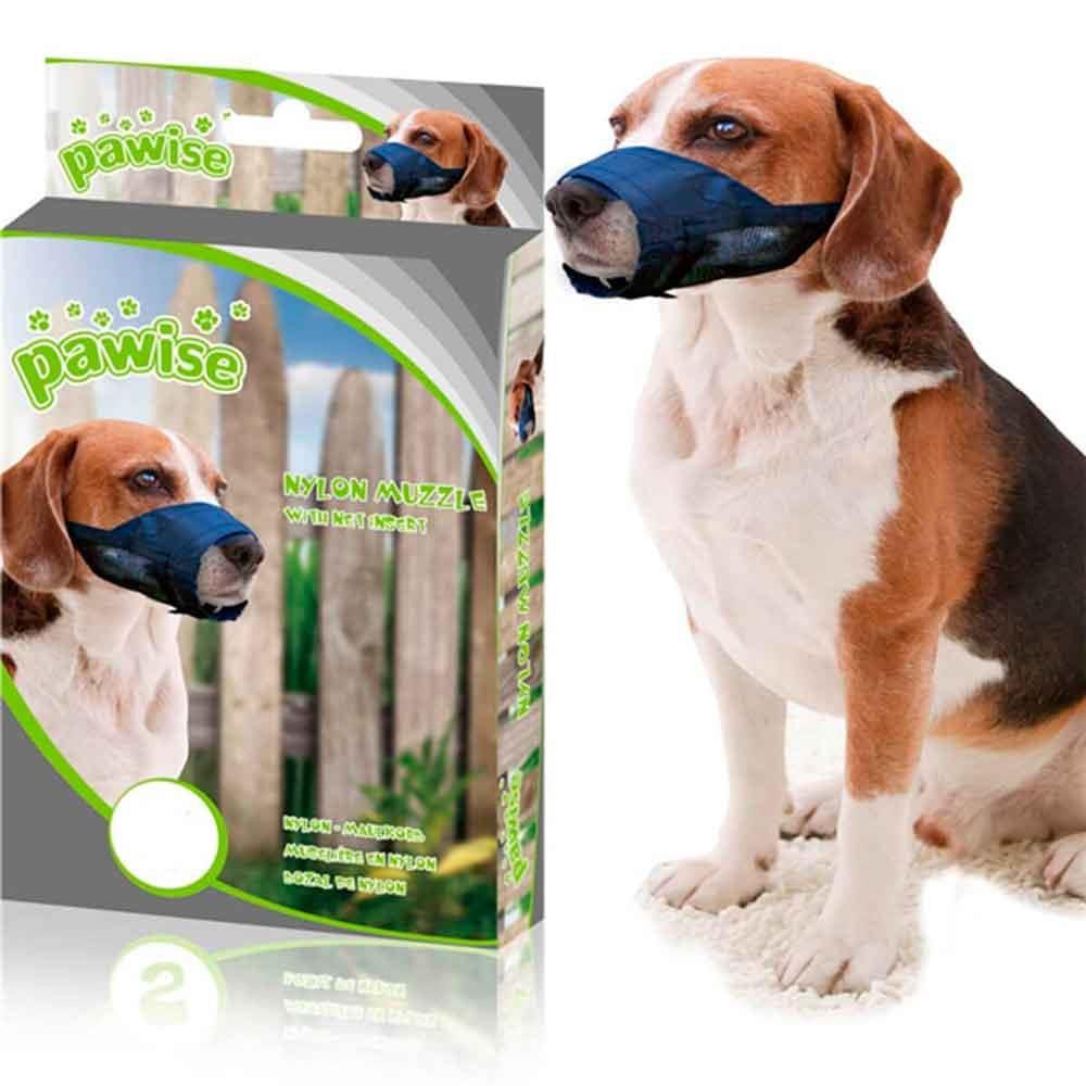 Pawise Ayarlanabilir Fileli Köpek Ağızlığı S 8886467530128 Amazon Pet Center