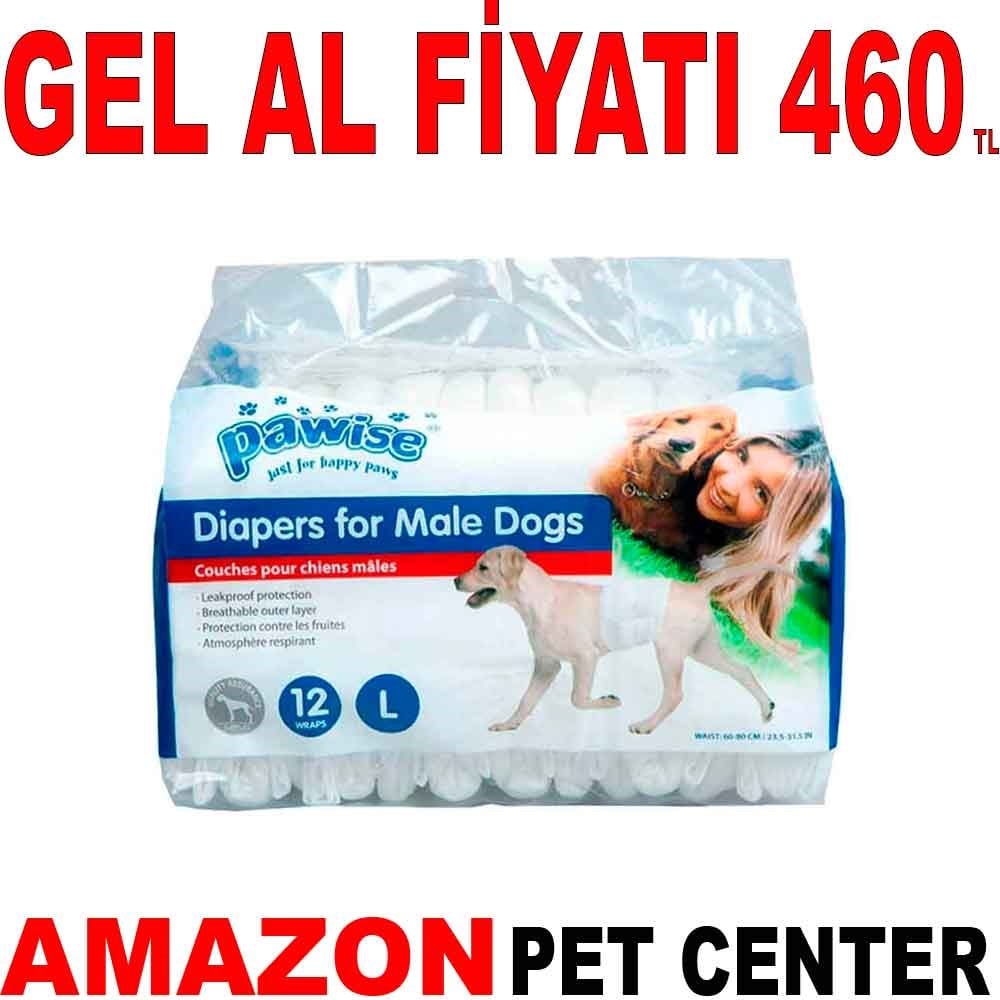 Pawise Erkek Köpek Çiş Bezi L 12 Ad Gel Al 35012436 Amazon Pet Center