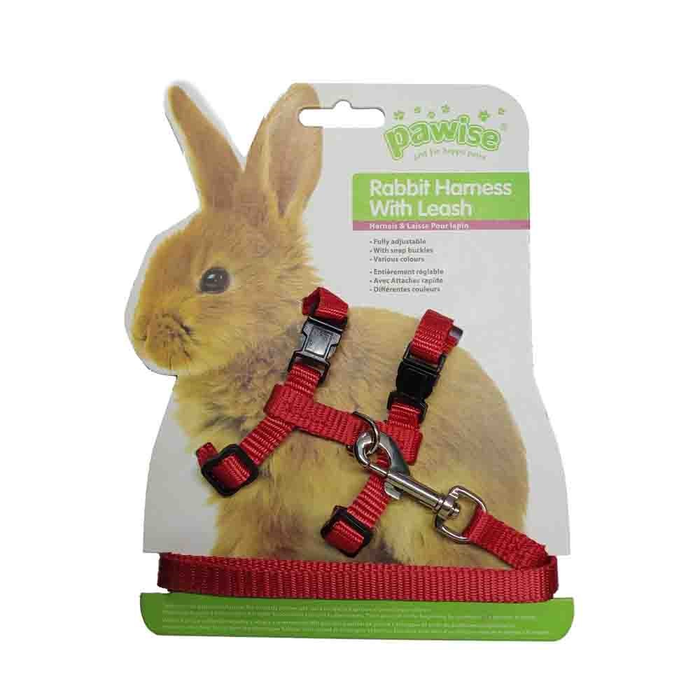 Pawise Tavşan Göğüs Tasması Takımı Kırmızı 8886467590887 Amazon Pet Center