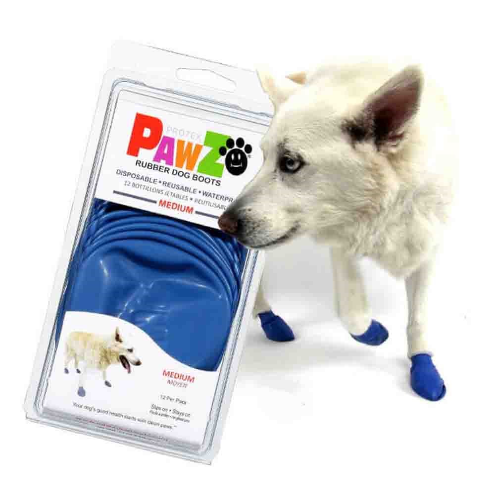 Pawz Köpek Galoşu Medium 12'li 897515001048 Amazon Pet Center