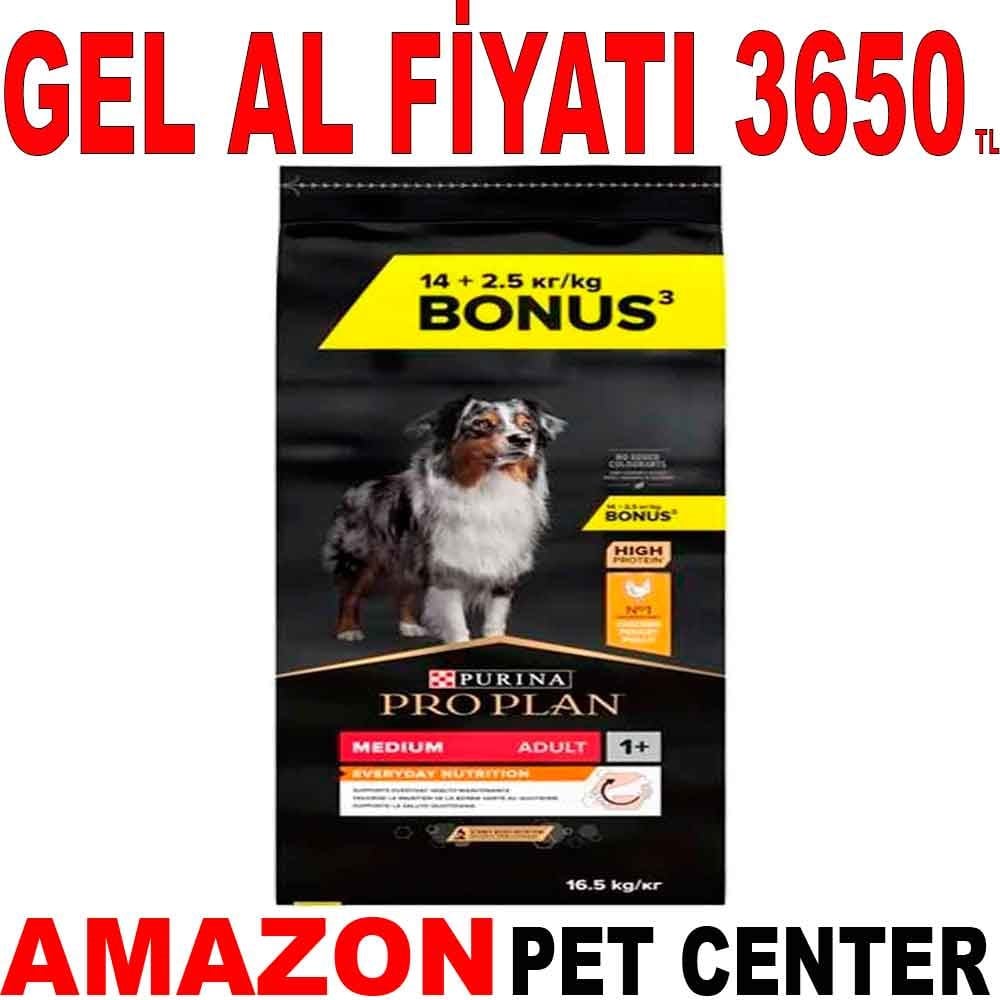 Pro Plan Köpek Maması Medium Adult Tavuklu 16,5 Kg Gel Al 20169008 Amazon Pet Center