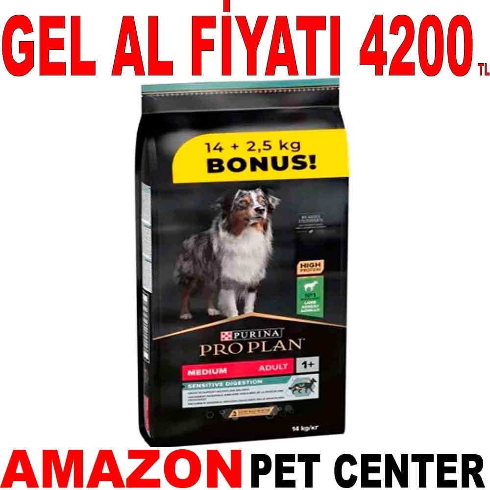 ProPlan Kuzu Etli Orta Irk Yetişkin Köpek Maması 14 Kg + 2,5 Kg Hediye 18685008 Amazon Pet Center