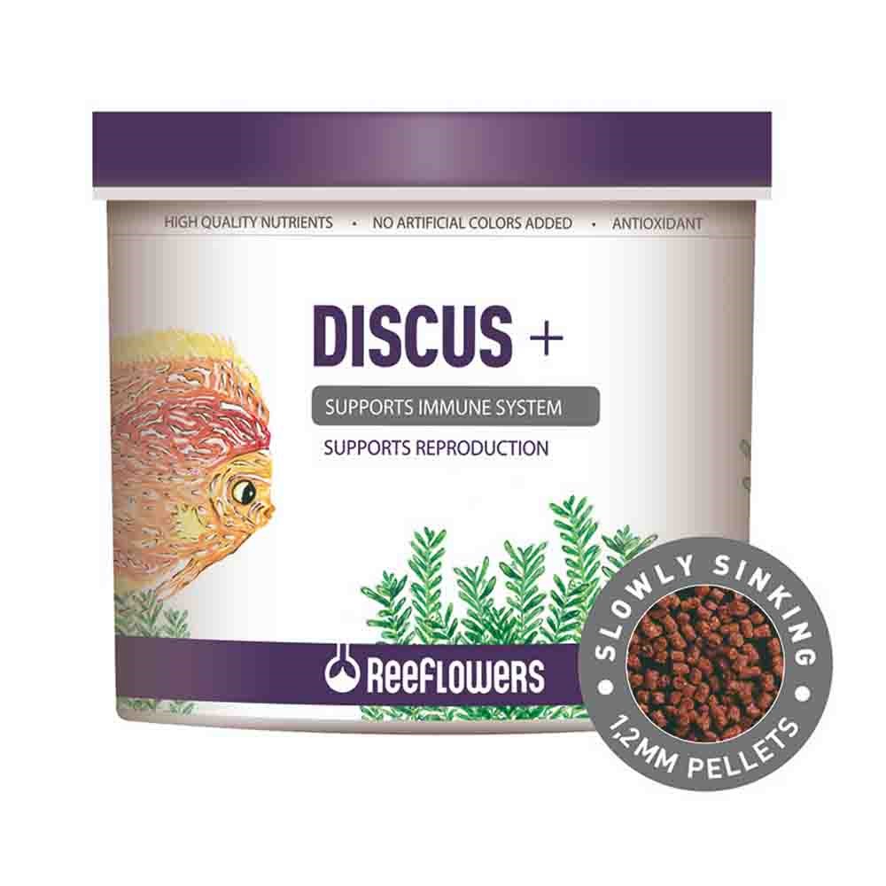 ReeFlowers Discus+ 8 Lt 8680716338783 Amazon Pet Center