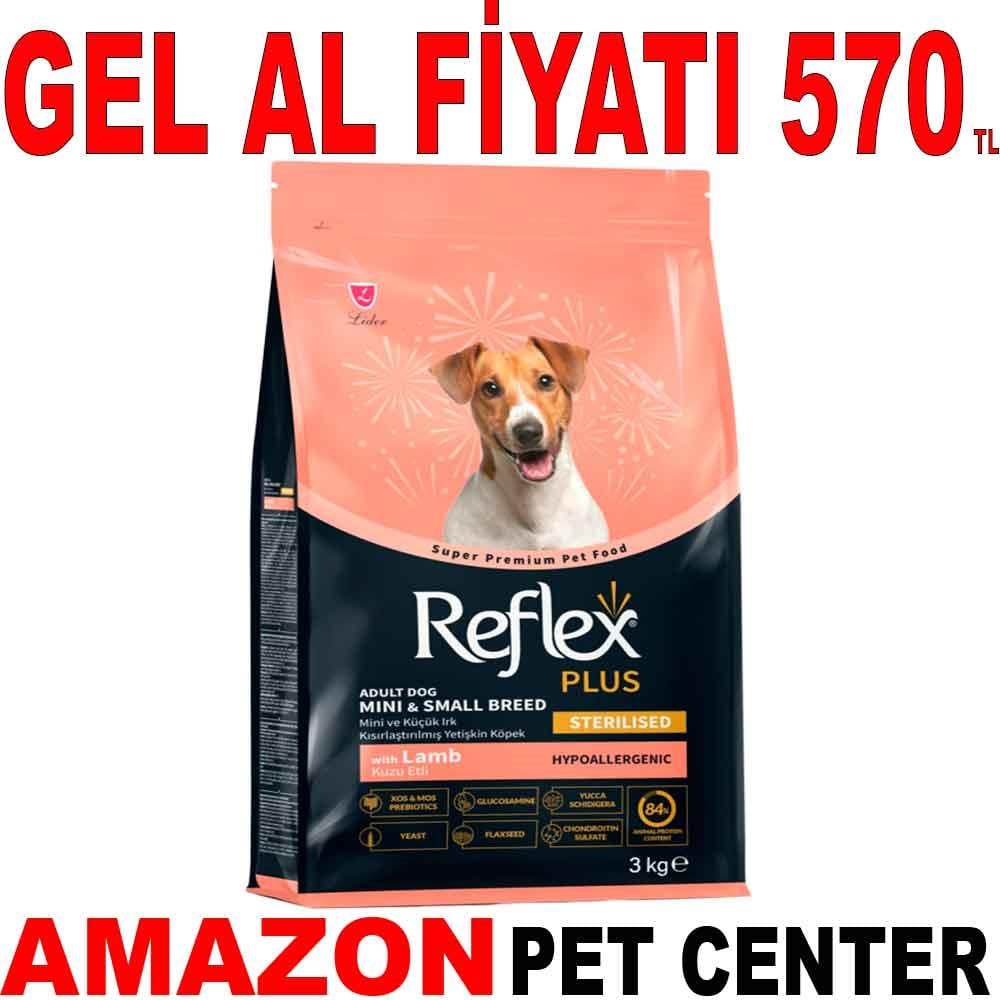 Reflex Plus Kısırlaştırılmış Köpek Maması Kuzu Etli Küçük Irk 3 Kg 35004806 Amazon Pet Center