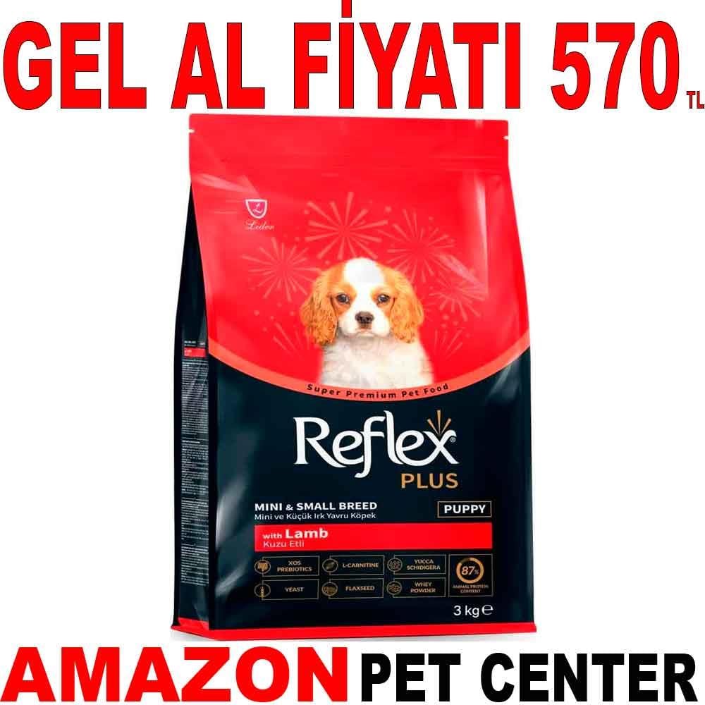 Reflex Plus Kuzu Etli Küçük Irk Yavru Köpek Maması 3 Kg 22028006 Amazon Pet Center