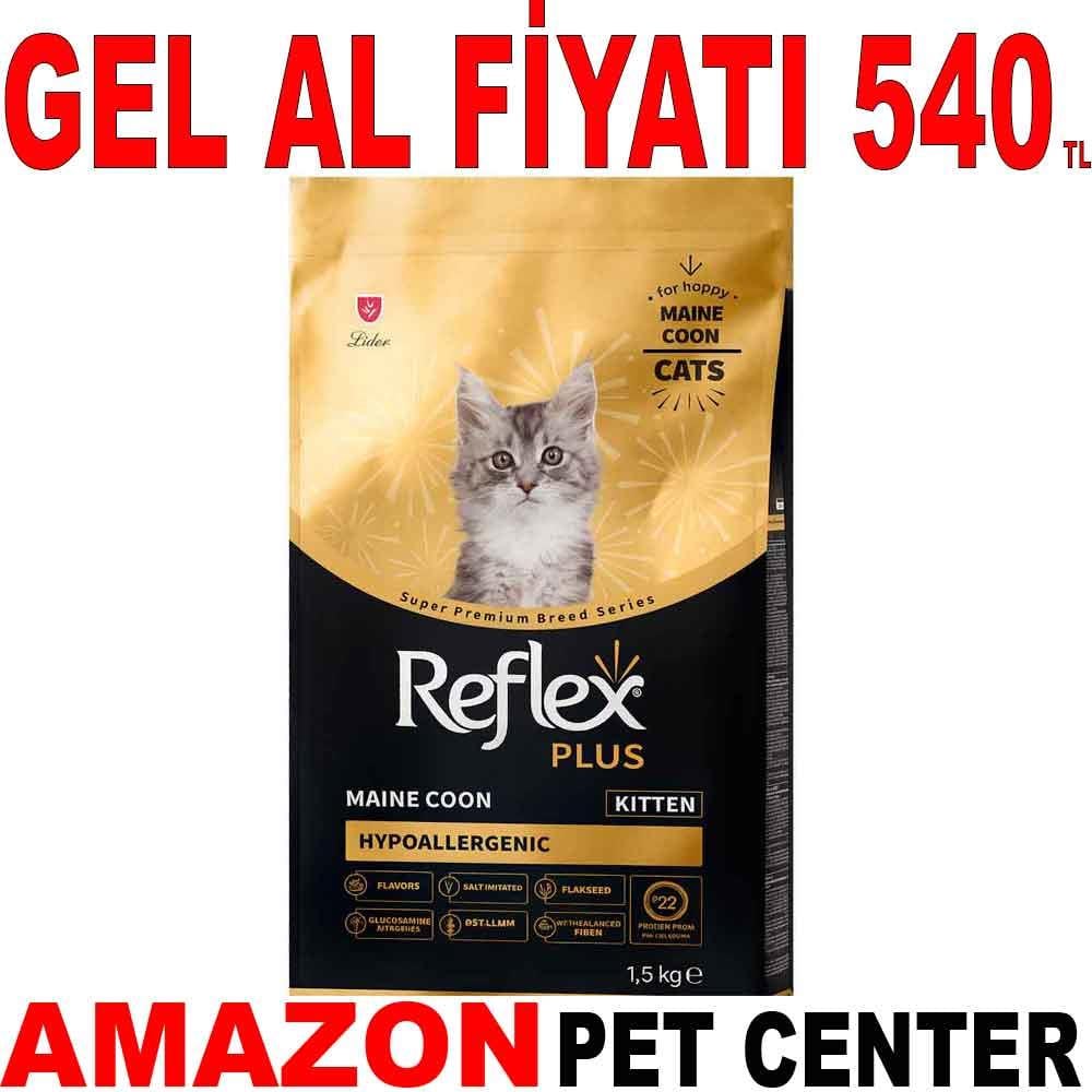 Reflex Plus Maine Coon Yavru Kedi Maması 1,5 Kg 35000051 Amazon Pet Center