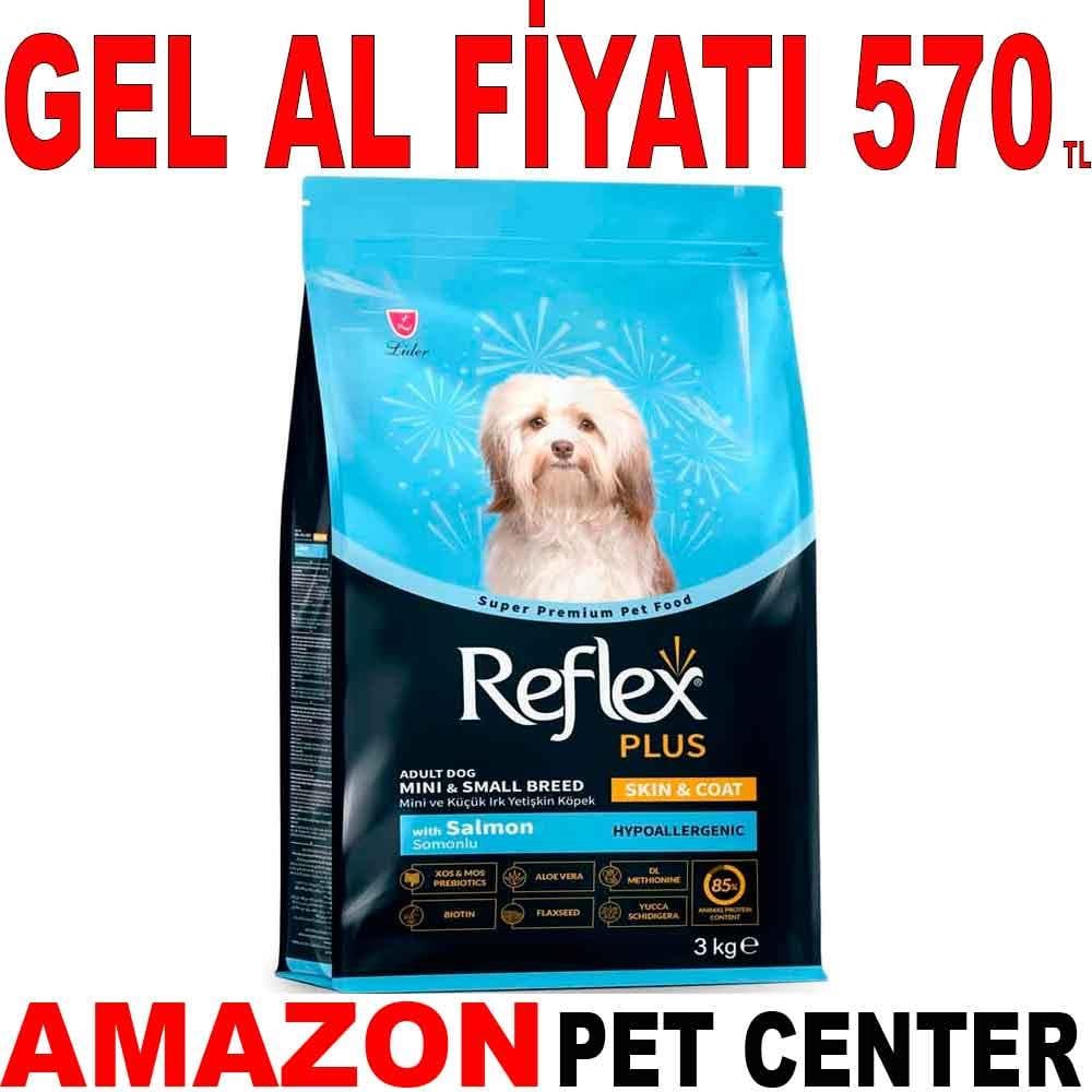 Reflex Plus Skin & Coat Somonlu Küçük Irk Yetişkin Köpek Maması 3 Kg 22032003 Amazon Pet Center