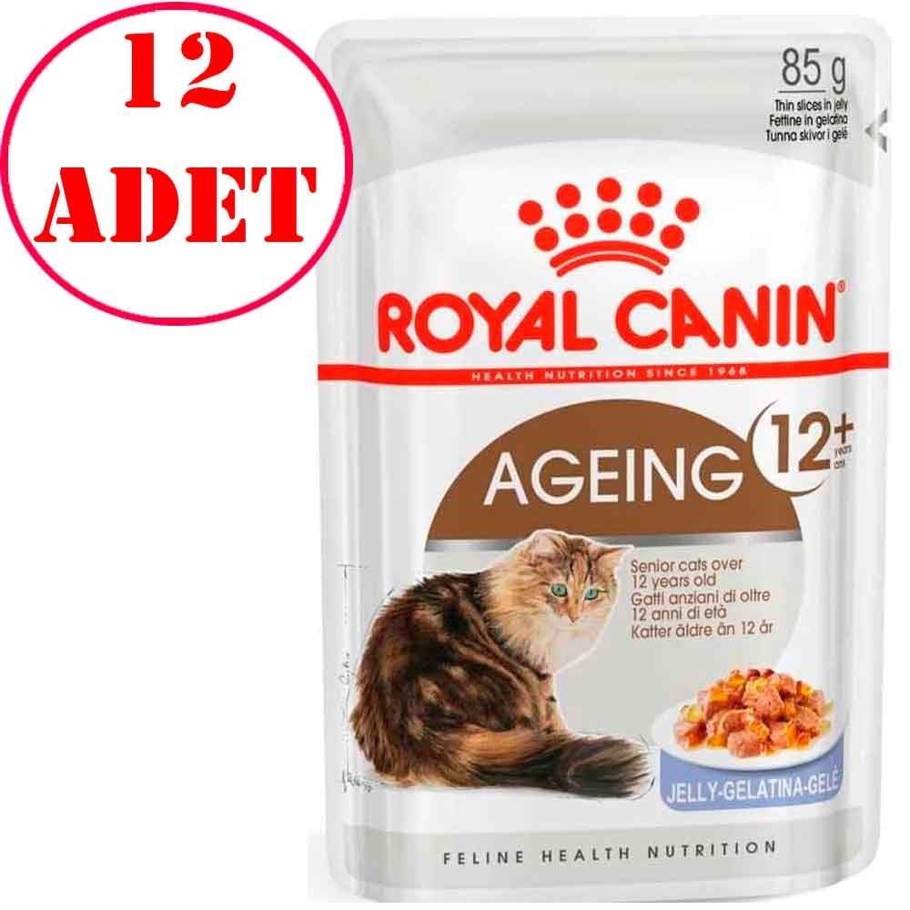 Royal Canin Ageing +12 Gravy Yaşlı Kedi Konservesi 85 Gr 12 AD 32120172 Amazon Pet Center