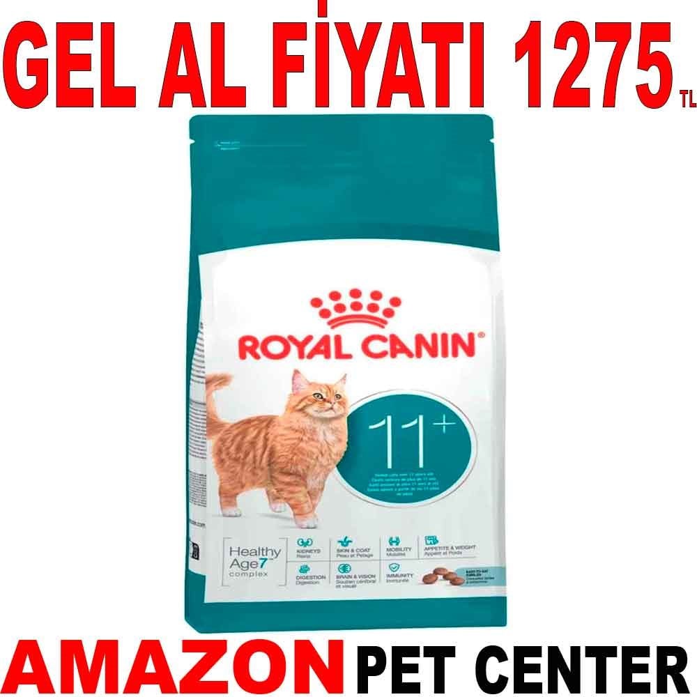 Royal Canin Ageing Yaşlı Kedi Maması 11+ 2 Kg Gel Al 35006541 Amazon Pet Center