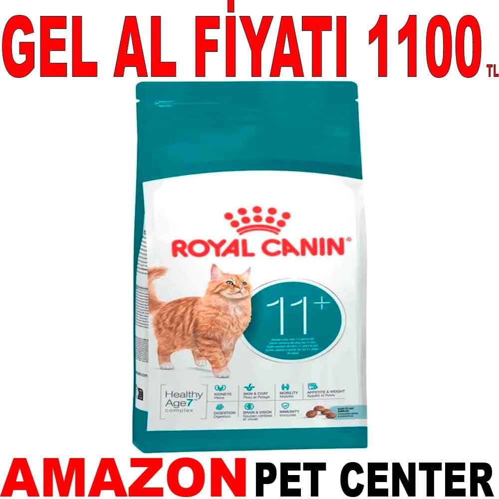 Royal Canin Ageing Yaşlı Kedi Maması 11+ 2 Kg Gel Al 35006541 Amazon Pet Center