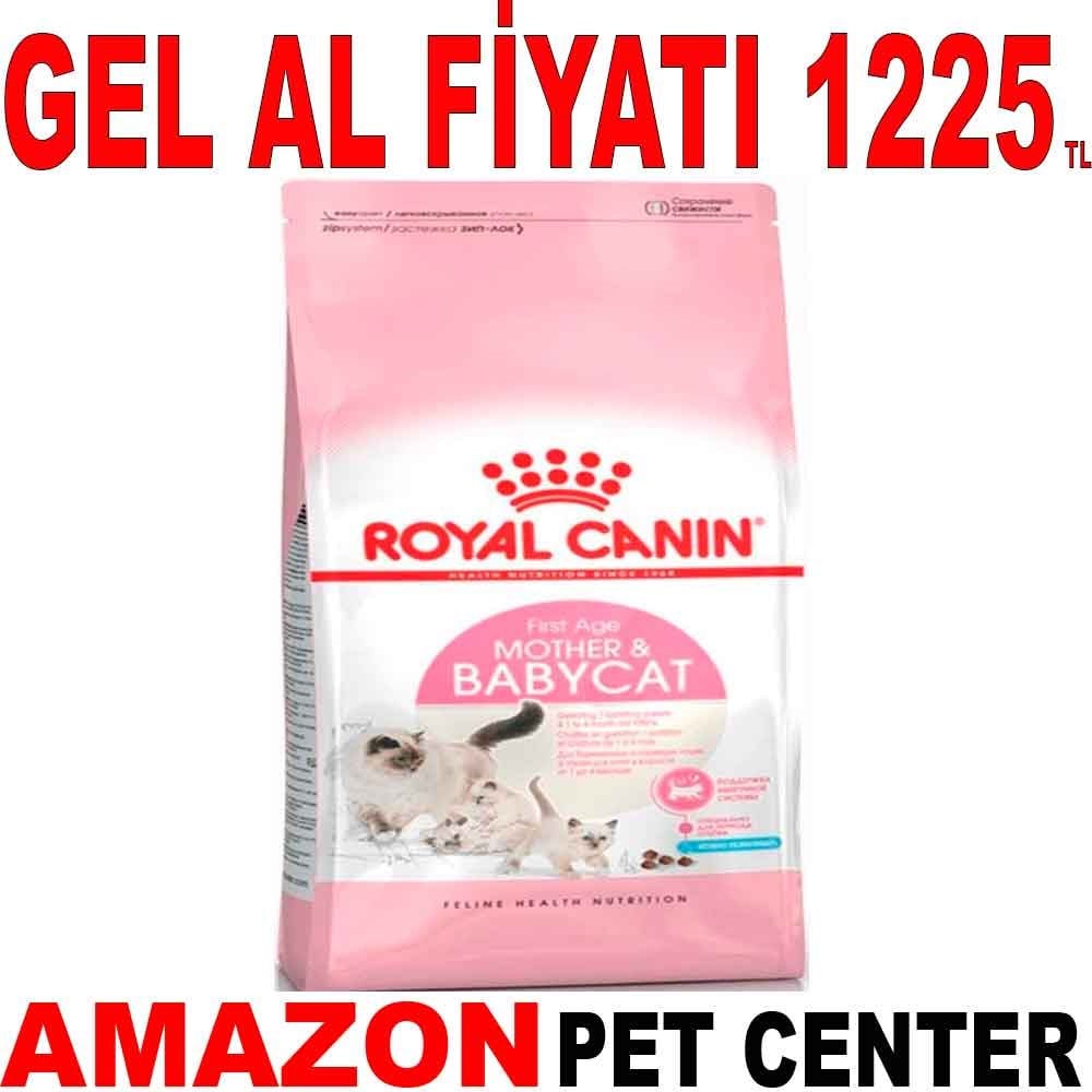 Royal Canin Baby Cat 2 Kg Yavru Kedi Maması Gel Al 18364002 Amazon Pet Center