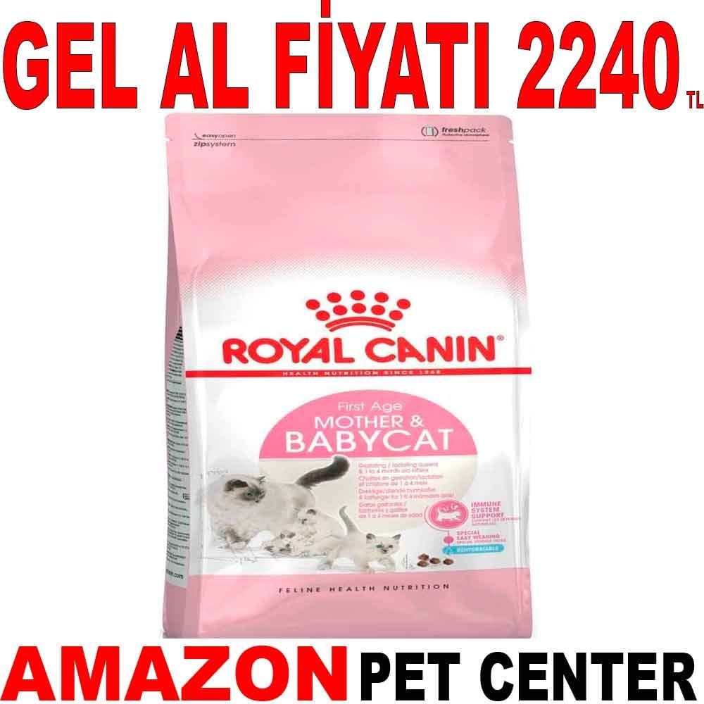 Royal Canin Baby Cat Yavru Kedi Maması 4 Kg Gel Al 18365009 Amazon Pet Center