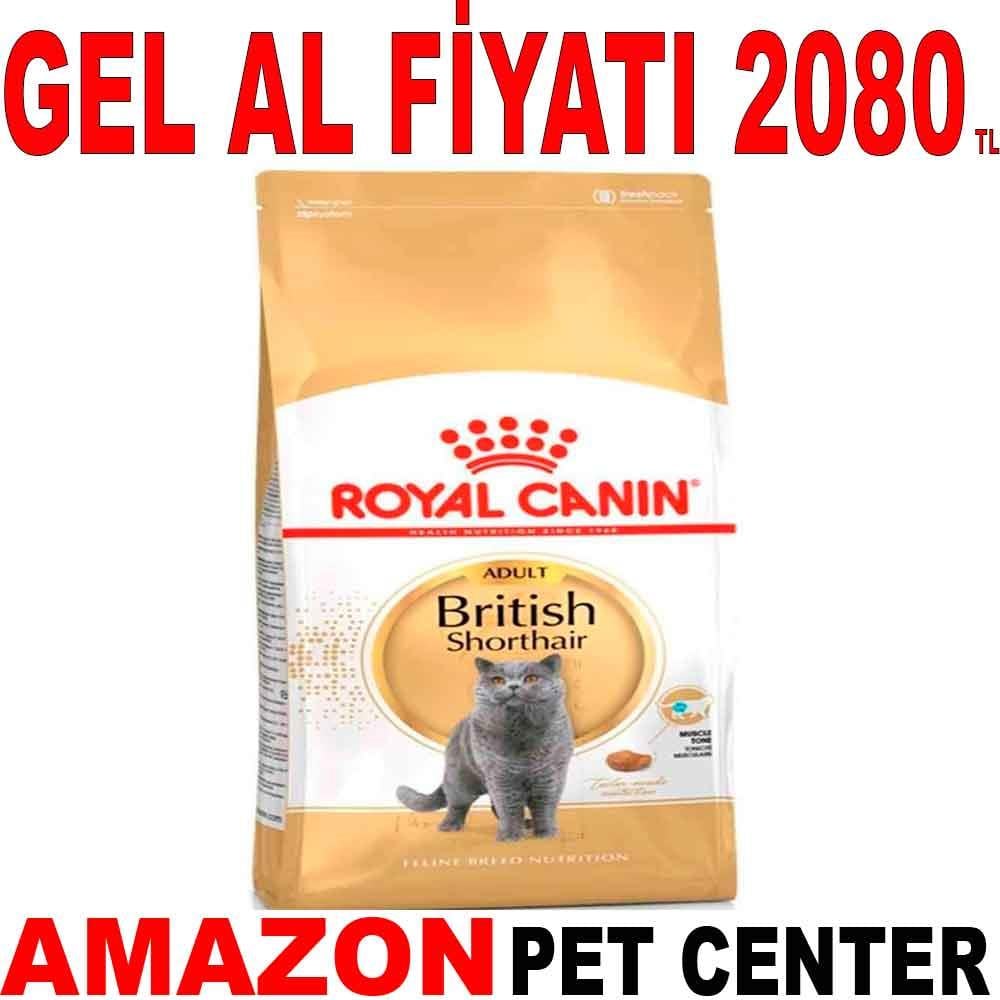 Royal Canin British Shorthair Kedi Maması 4 Kg 18347005 Amazon Pet Center